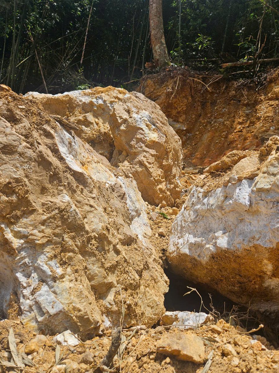 Industrial partnership